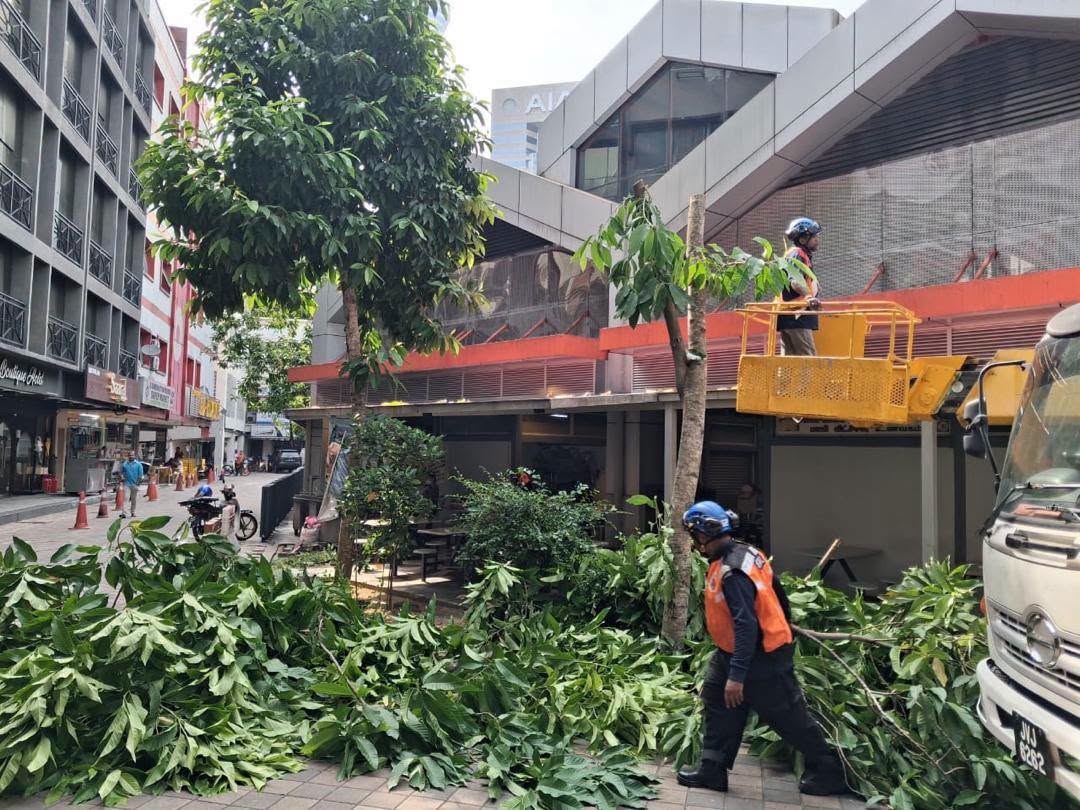 DBKL Terus Perkasa Usaha Mitigasi Pokok Demi Keselamatan Warga Kota
