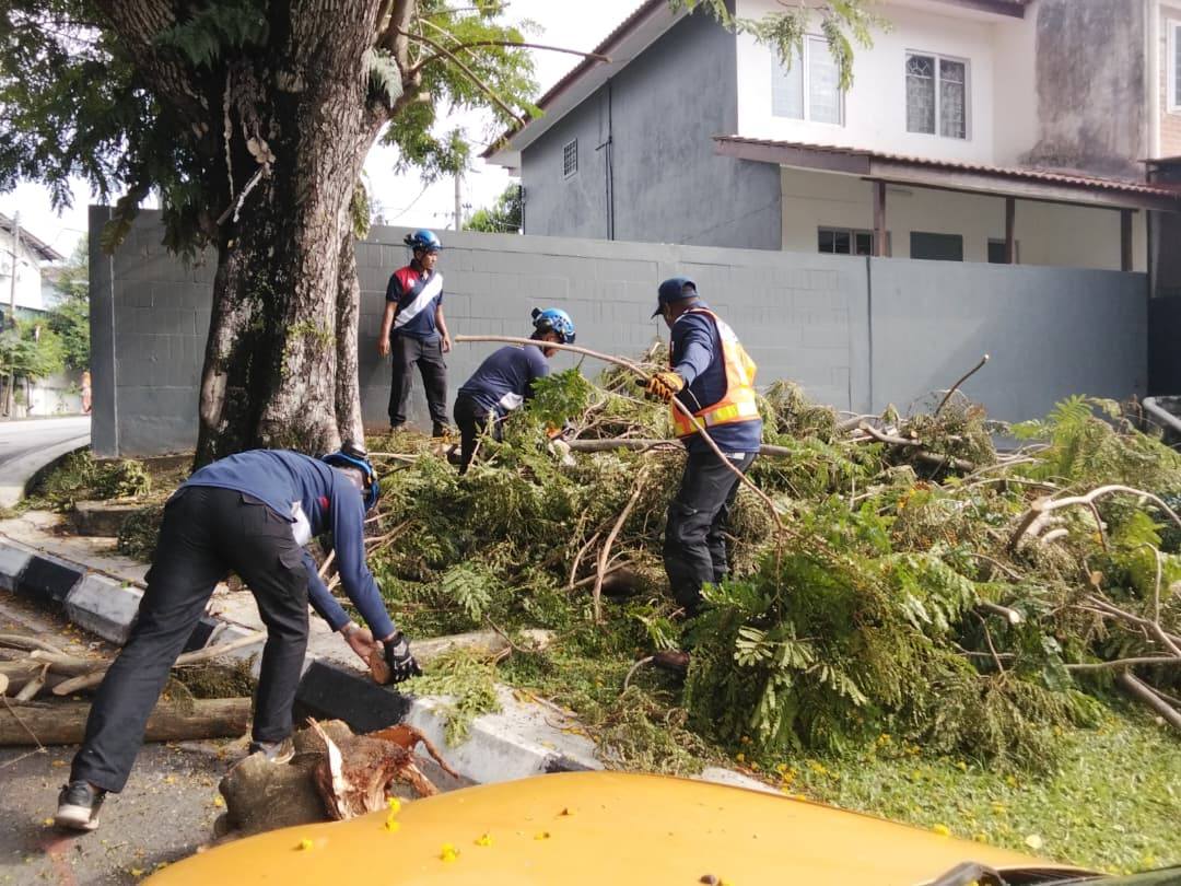 PELAKSANAAN KERJA MITIGASI POKOK SEMPENA CUTI HARI RAYA AIDILFITRI - March 26, 2026