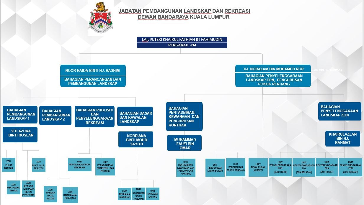 Carta organisasi baru