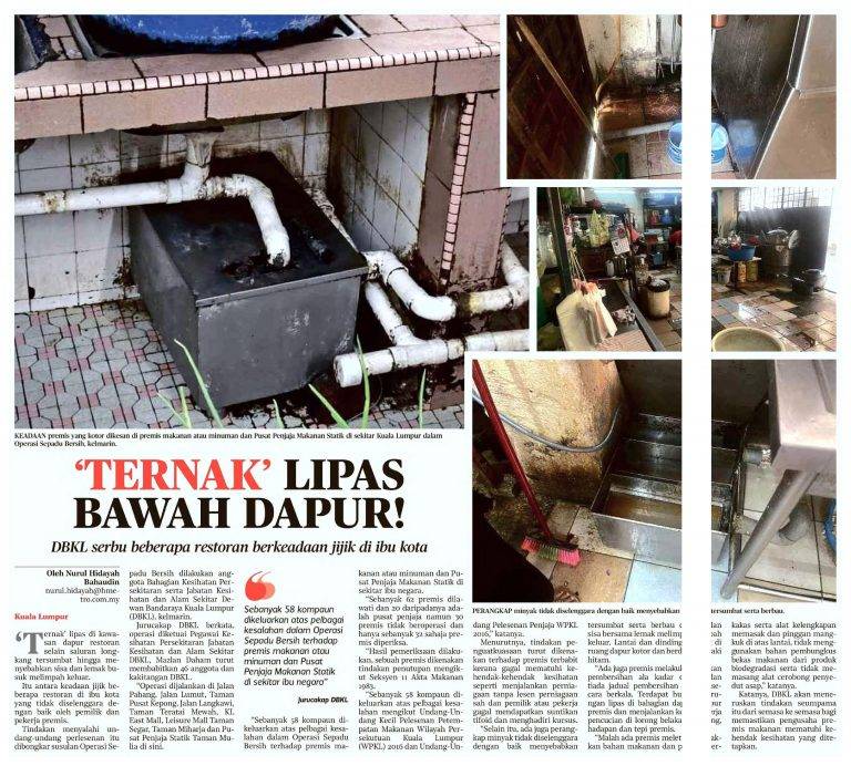 Portal Rasmi Dewan Bandaraya Kuala Lumpur | ‘Ternak’ Lipas Bawah Dapur! – Harian Metro