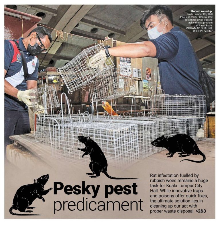 Portal Rasmi Dewan Bandaraya Kuala Lumpur | Pesky Pest Predicament – The Star